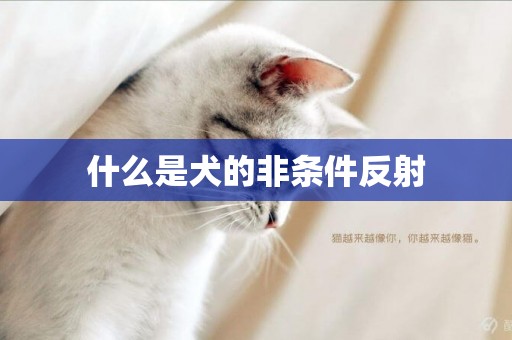 什么是犬的非條件反射