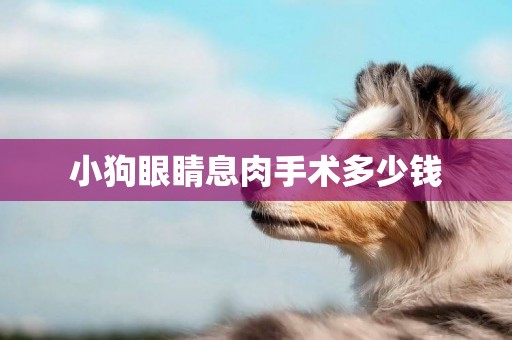 小狗眼睛息肉手術多少錢