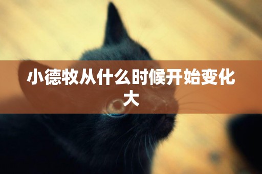 小德牧從什么時候開始變化大