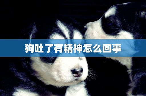 狗吐了有精神怎么回事