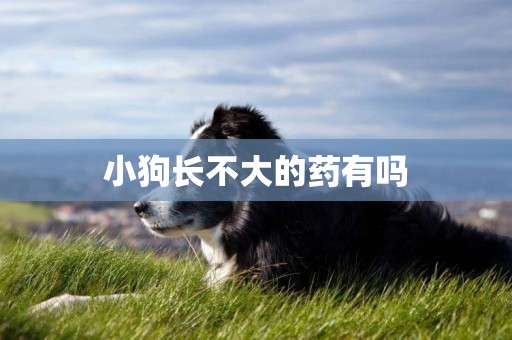 小狗長不大的藥有嗎