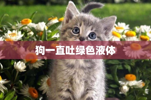 狗一直吐綠色液體