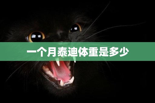 一個月泰迪體重是多少