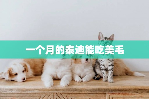 一個月的泰迪能吃美毛