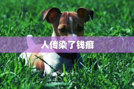 人傳染了錢癬