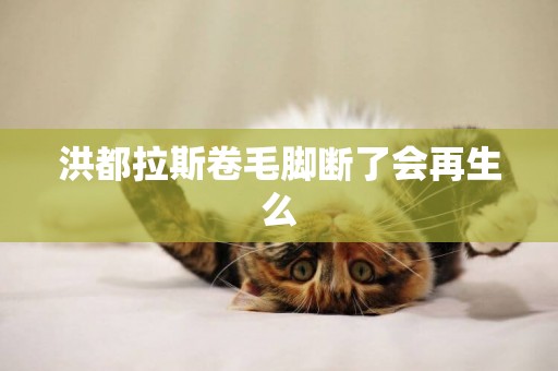洪都拉斯卷毛腳斷了會再生么
