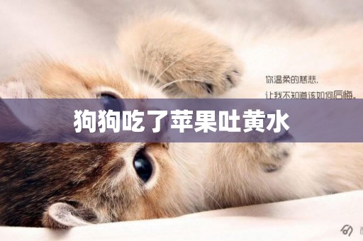 狗狗吃了蘋果吐黃水