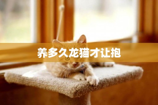 養多久龍貓才讓抱