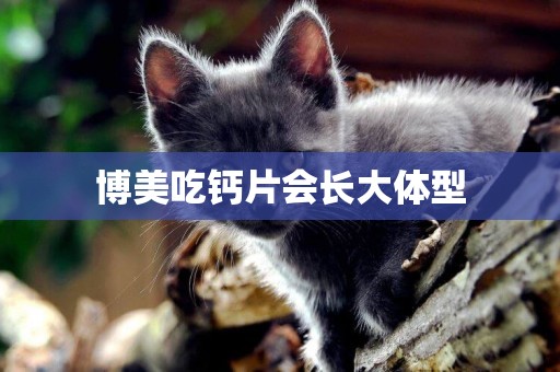 博美吃鈣片會長大體型