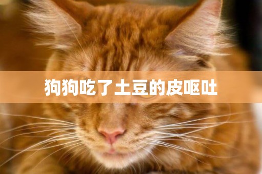 狗狗吃了土豆的皮嘔吐