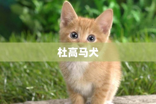 杜高馬犬