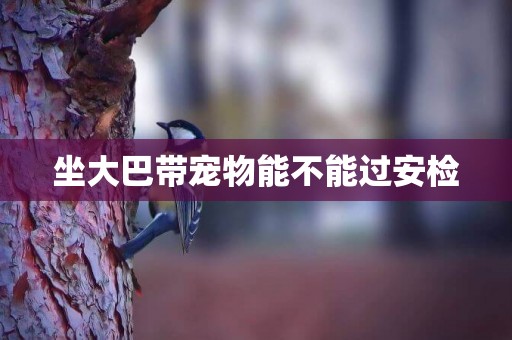 坐大巴帶寵物能不能過安檢