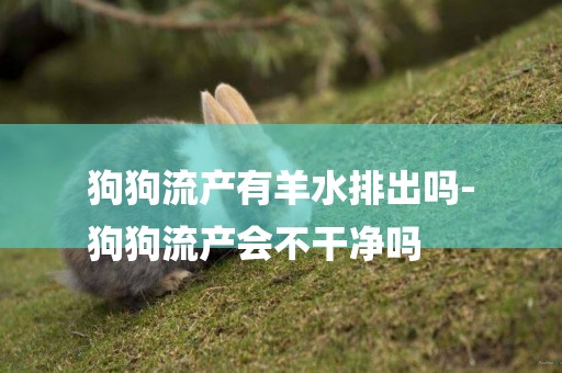 狗狗流產有羊水排出嗎-
狗狗流產會不干凈嗎