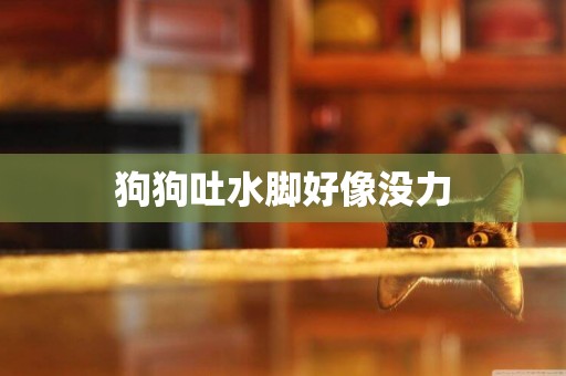 狗狗吐水腳好像沒力