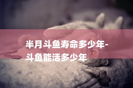 半月斗魚壽命多少年-
斗魚能活多少年