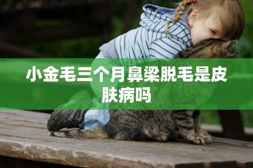 小金毛三個月鼻梁脫毛是皮膚病嗎