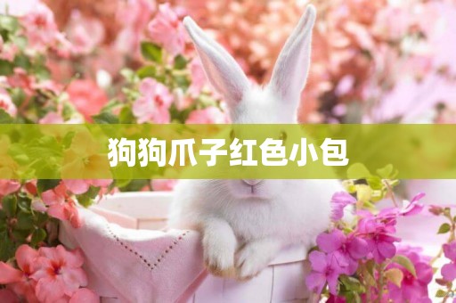 狗狗爪子紅色小包
