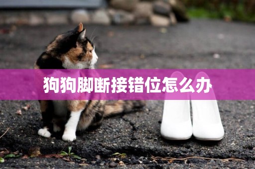 狗狗腳斷接錯位怎么辦