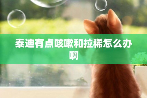 泰迪有點咳嗽和拉稀怎么辦啊