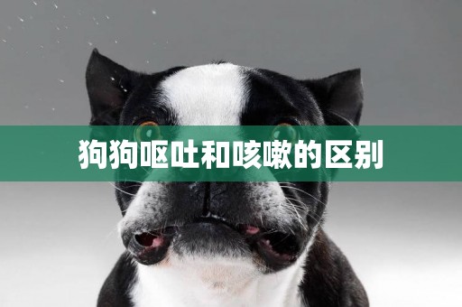 狗狗嘔吐和咳嗽的區別