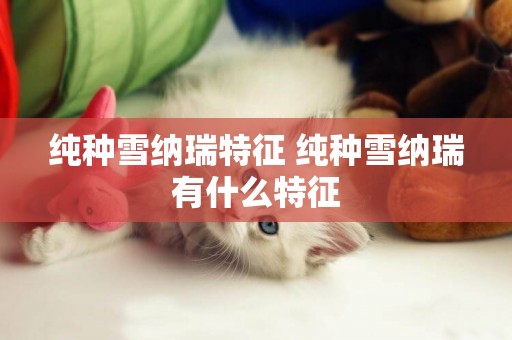 純種雪納瑞特征 純種雪納瑞有什么特征