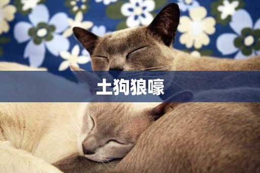 土狗狼嚎