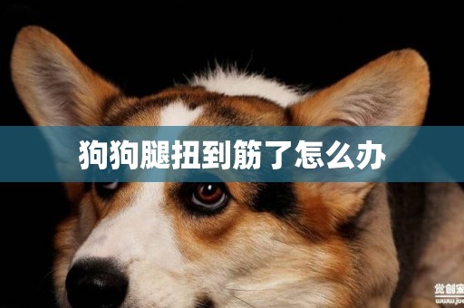 狗狗腿扭到筋了怎么辦