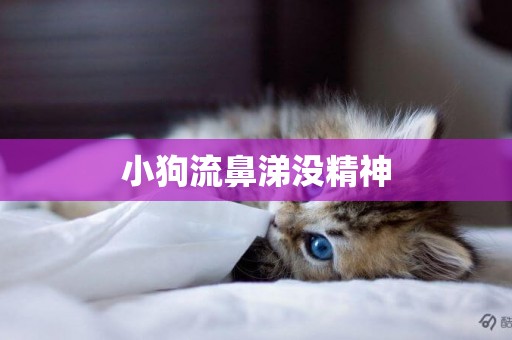 小狗流鼻涕沒精神