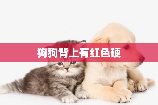 狗狗背上有紅色硬