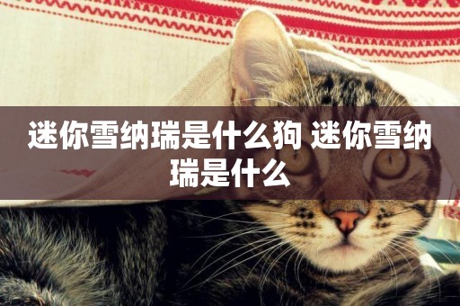 迷你雪納瑞是什么狗 迷你雪納瑞是什么