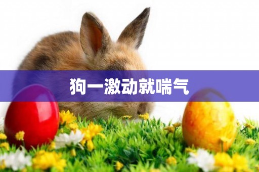 狗一激動就喘氣