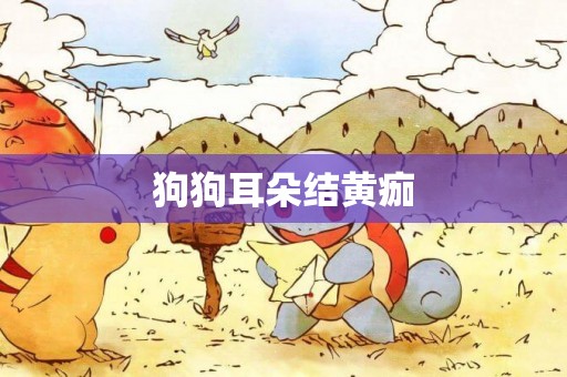 狗狗耳朵結黃痂