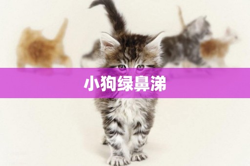 小狗綠鼻涕