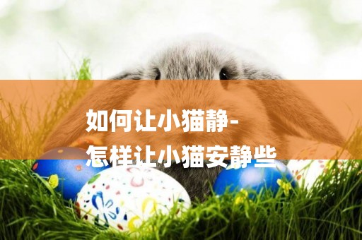 如何讓小貓靜-
怎樣讓小貓安靜些