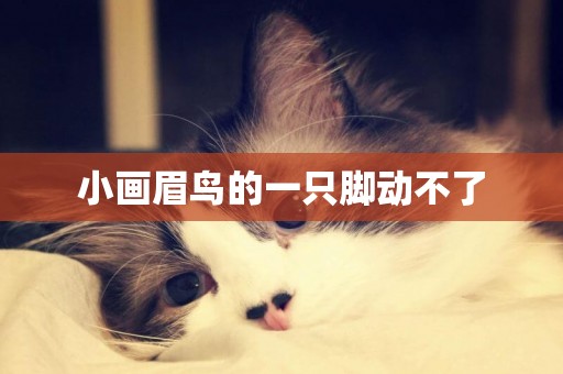 小畫眉鳥的一只腳動不了