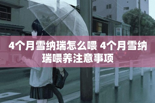 4個月雪納瑞怎么喂 4個月雪納瑞喂養注意事項