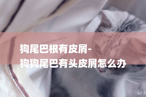 狗尾巴根有皮屑-
狗狗尾巴有頭皮屑怎么辦