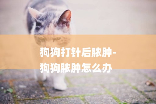 狗狗打針后膿腫-
狗狗膿腫怎么辦