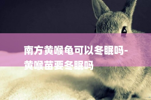 南方黃喉龜可以冬眠嗎-
黃喉苗要冬眠嗎