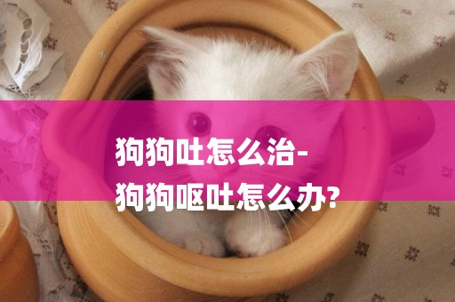 狗狗吐怎么治-
狗狗嘔吐怎么辦?