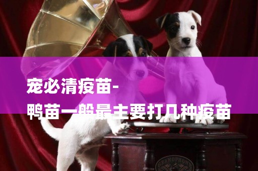 寵必清疫苗-
鴨苗一般最主要打幾種疫苗