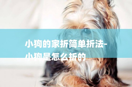 小狗的家折簡單折法-
小狗是怎么折的