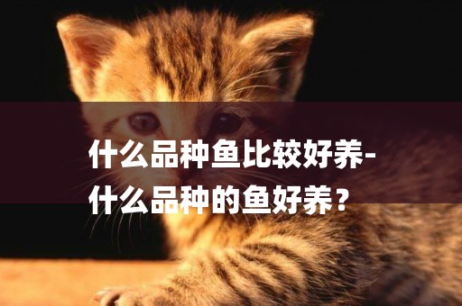 什么品種魚比較好養-
什么品種的魚好養？
