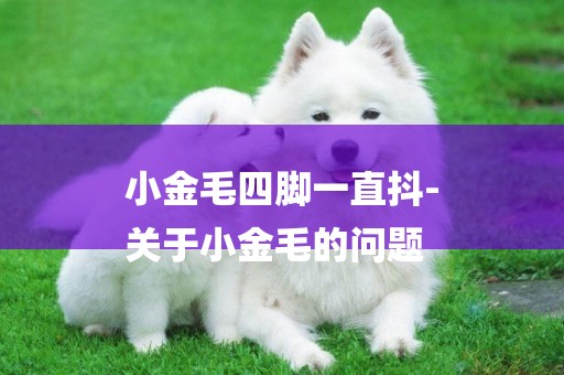 小金毛四腳一直抖-
關于小金毛的問題