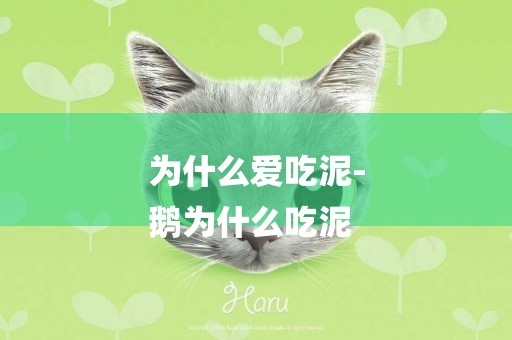 為什么愛吃泥-
鵝為什么吃泥