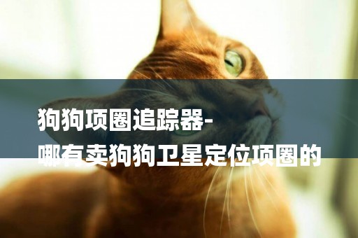 狗狗項圈追蹤器-
哪有賣狗狗衛星定位項圈的