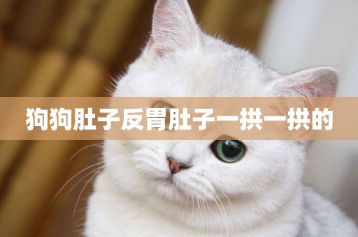 狗狗肚子反胃肚子一拱一拱的
