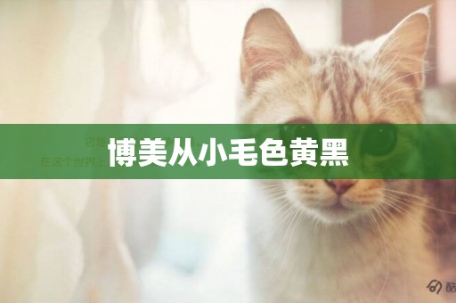 博美從小毛色黃黑