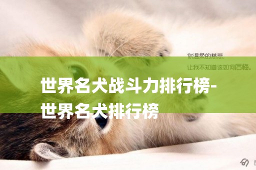 世界名犬戰斗力排行榜-
世界名犬排行榜