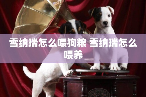 雪納瑞怎么喂狗糧 雪納瑞怎么喂養